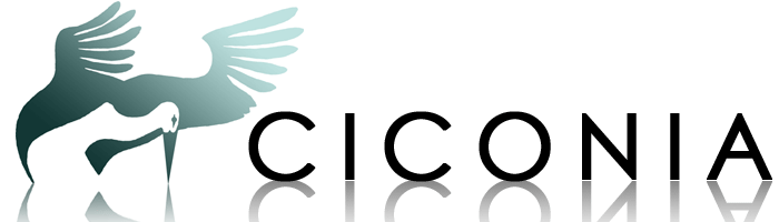 CIC1LOGO_neu