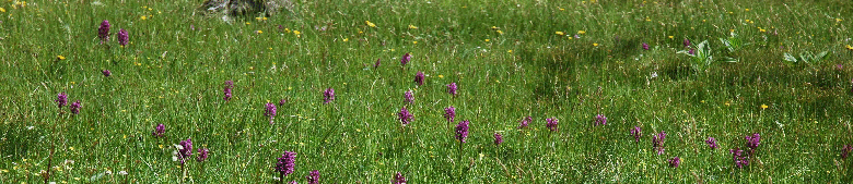 DSC_011106961DSC_0112