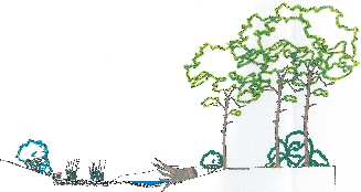 Querschnitt Renaturierung3